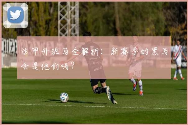 法甲升班马全解析:新赛季的黑马会是他们吗?